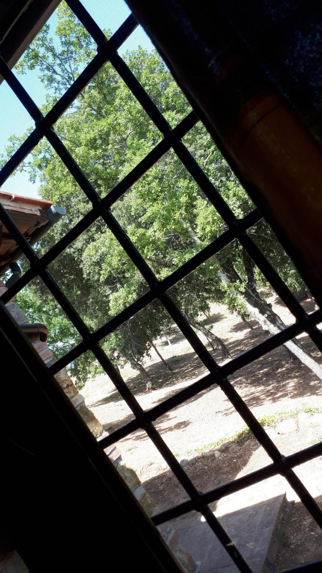 Agriturismo Podere San Lorenzo 1866 마사마리티마 외부 사진