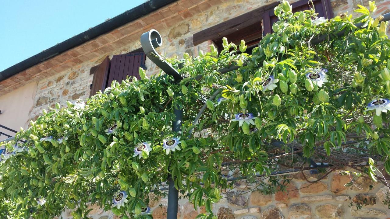 Agriturismo Podere San Lorenzo 1866 마사마리티마 외부 사진