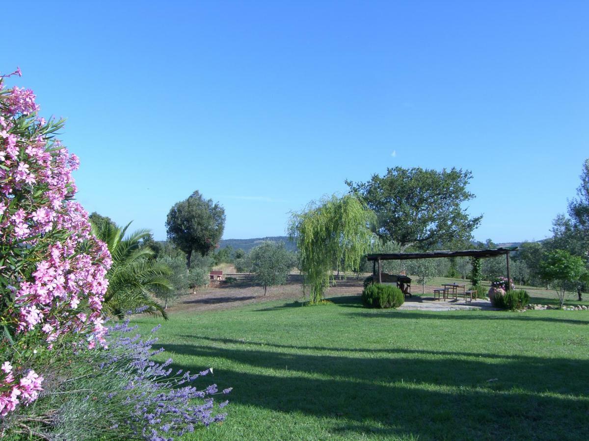 Agriturismo Podere San Lorenzo 1866 마사마리티마 외부 사진